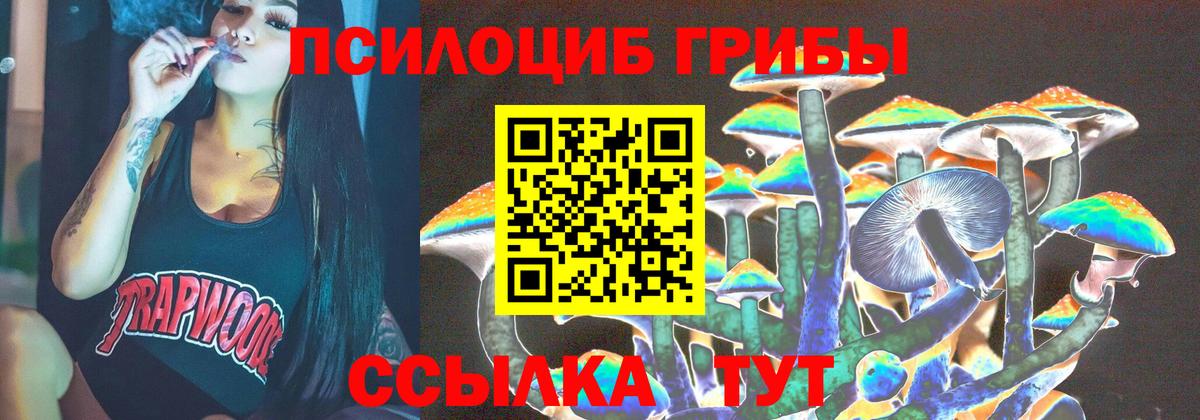 Калуга  Псилоцибиновые грибы MAGIC MUSHROOMS  где можно купить наркотик  Вход с VPN 